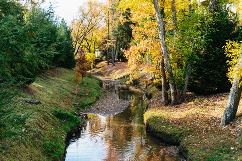Pigeon Forge: biglietto d'ingresso al parco tematico DollywoodBiglietto d'ingresso per 1 giorno al parco a tema Dollywood