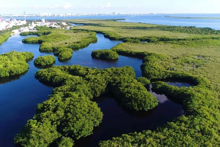 Cancun: Jungle Tour with Speedboat Ride and SnorkelingDouble