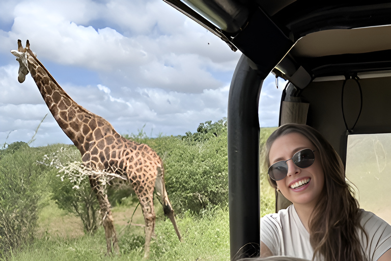 Budget Kruger &amp; Panorama meerdaagse tour vanuit Johannesburg5-daagse budgetreis naar Kruger &amp; Panorama