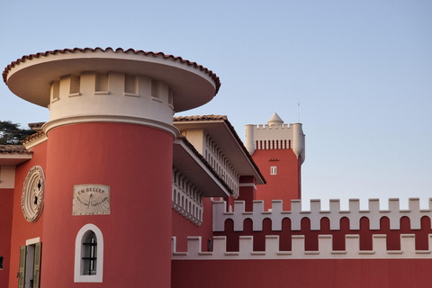 From Nice: Tour of the Most Beautiful Places