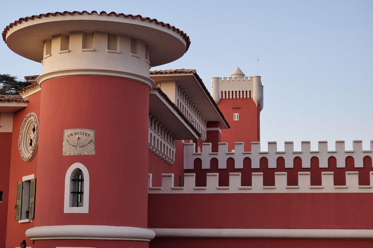 From Nice: Tour of the Most Beautiful Places