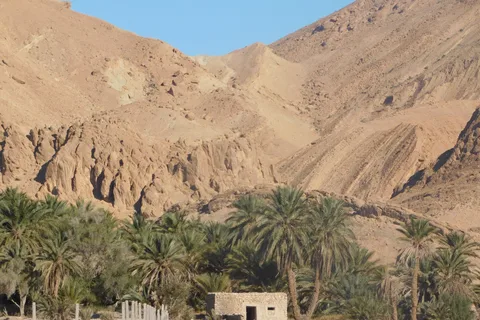 In the footsteps of Rommel