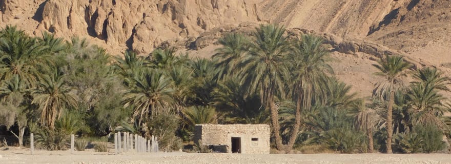 Sur les traces de Rommel