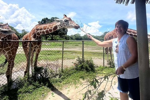 CORON: Calauit Safari with Black Island