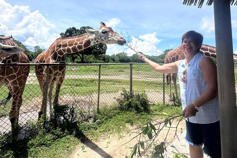 Coron; Calauit Safari Black Island Mittagessen &amp; Transfer inklusive