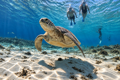 From Gili Air: Snorkelling Trip with Turtles, Statue & GoPro From Gili Air: Shared Snorkeling with Turtles, Statue &GoPro