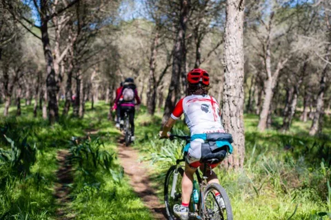 Tour in bicicletta del porto turistico di Torregrande