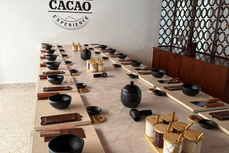 Medellín: Colombian Cacao Experience - Limited Spots!