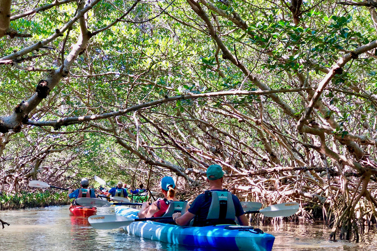 Tierra Verde FL: Coastal Kayaking Tour in Shell Key Single Kayak