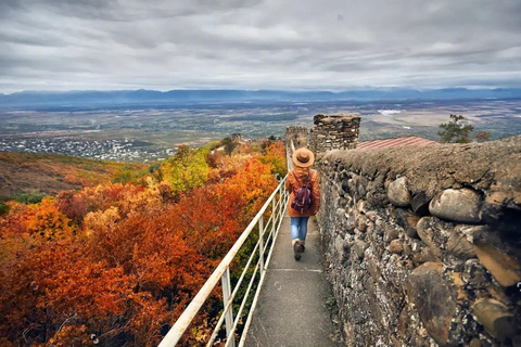 Da Tbilisi: Tour del vino di Kakheti con pranzo e degustazioniDa Tbilisi: Tour del vino del Kakheti con pranzo e degustazioni