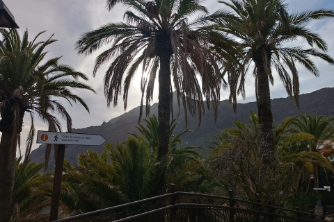 Teneryfa: ekskluzywna wycieczka Teide-Masca-Garachico