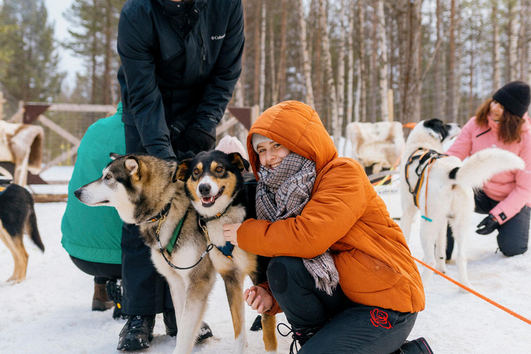 Saariselkä: Husky Safari with kennel visit