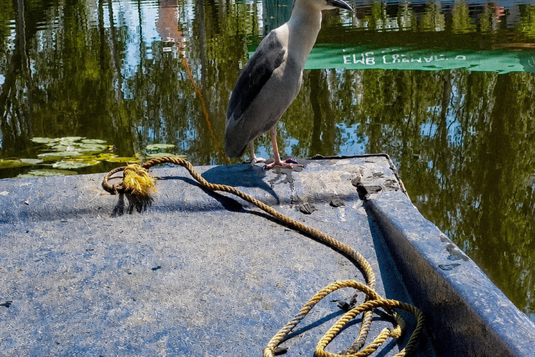 Xochimilco: Chinampa and Axolotl Boat Tour