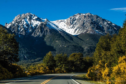 Bariloche: Cerro Tronador and Ventisquero Negro Tour English or Portuguese Departure
