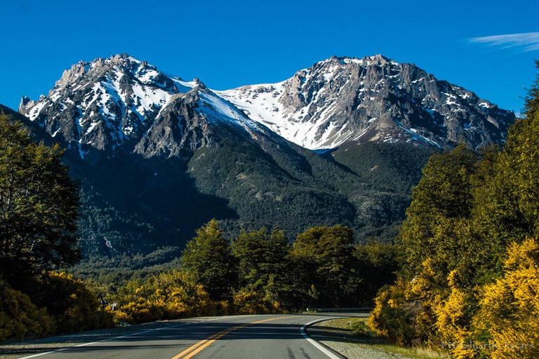 Bariloche: Cerro Tronador and Ventisquero Negro Tour English or Portuguese Departure