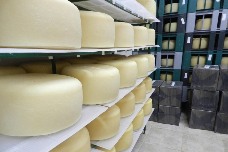 Salta: 2 Wineries and Cheese Factory Tour with Tastings