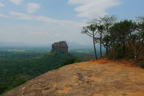Kandy to Negombo: Sigiriya & Dambulla Day Trip