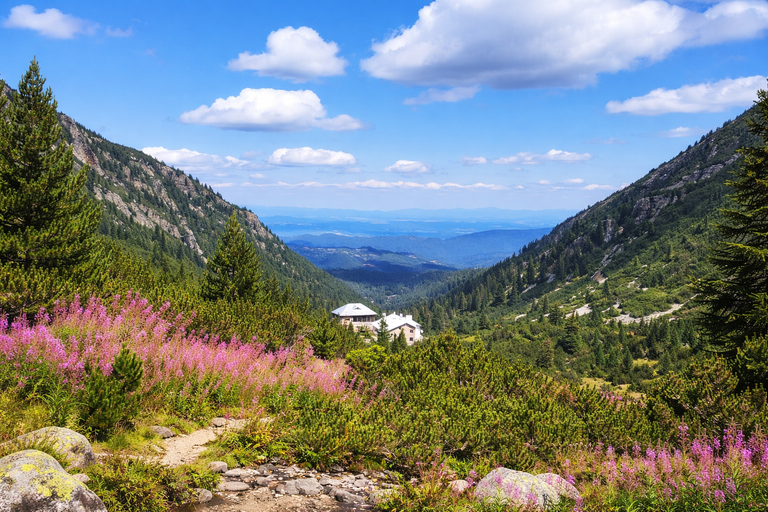 From Sofia: Rila Mountain - Easy Hike & Optional Local Lunch From Sofia: Rila Mountain - Shared Group Option