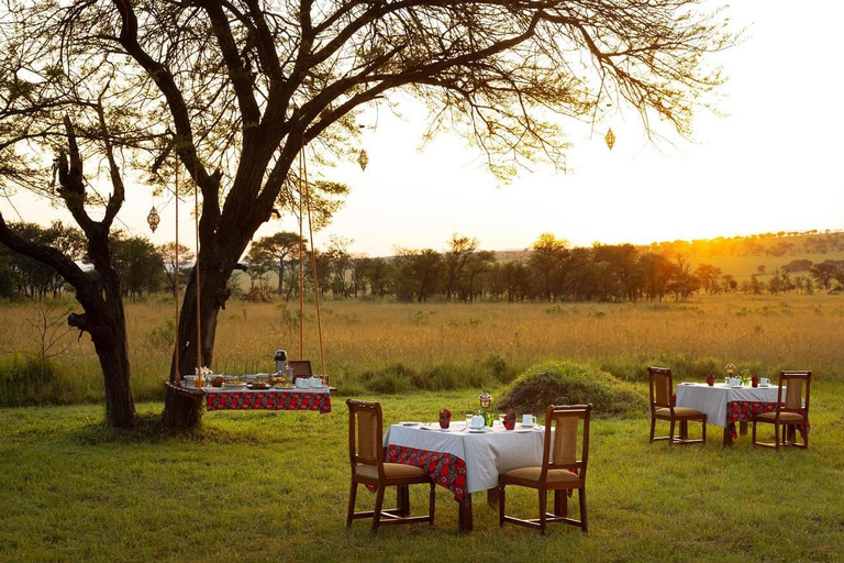 Zanzibar: Tarangire Overnight Safari with Night Game Drive