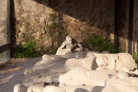 Z Sorrento: wycieczka z przewodnikiem po Pompejach w małej grupie