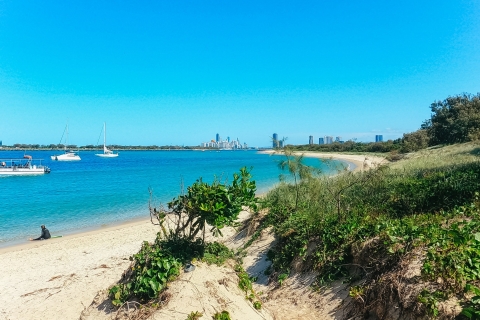Gold Coast: wycieczka kajakiem na wyspę Wave Break i nurkowanie z rurkąOpcja miejsca spotkania