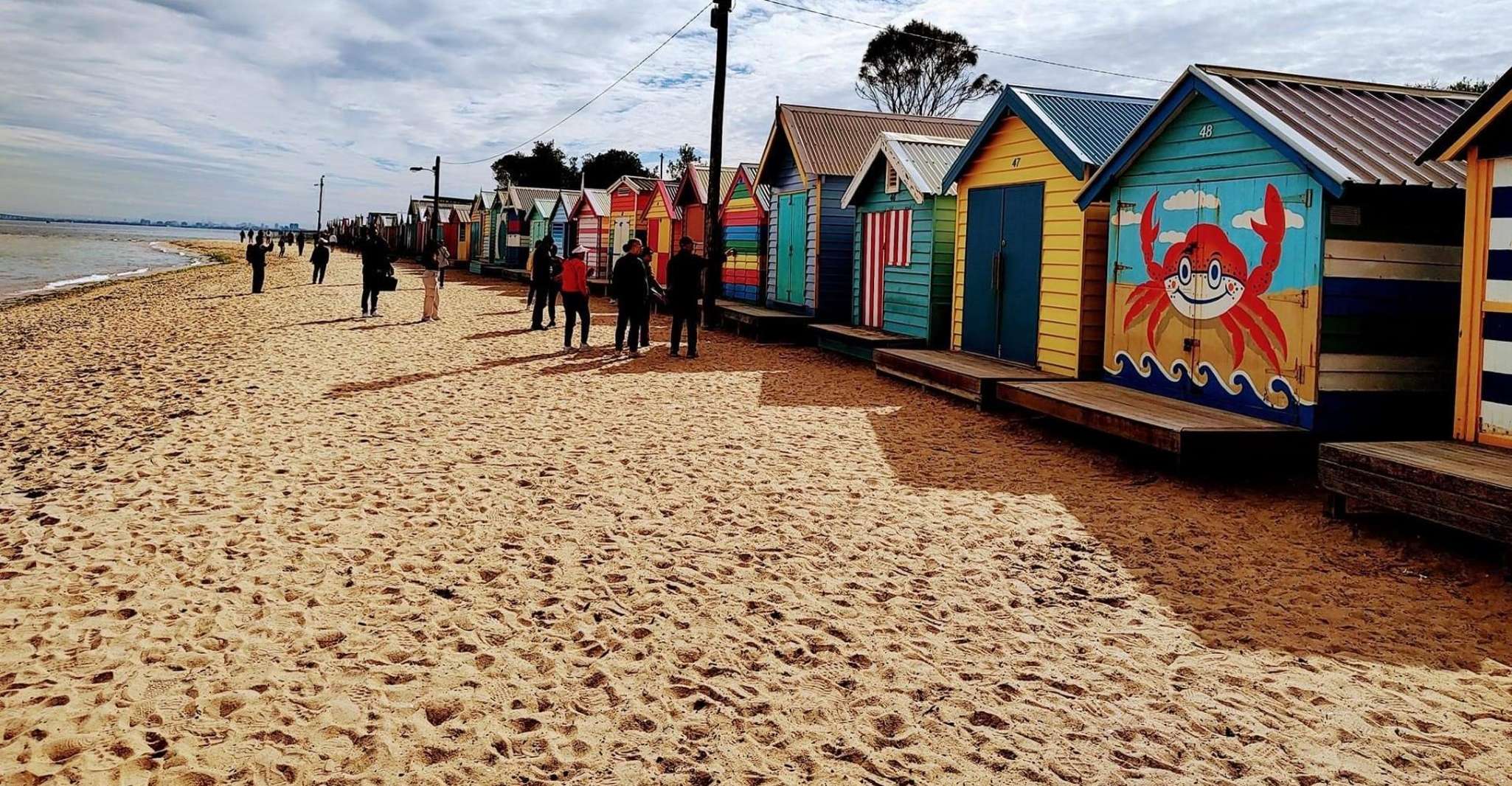 Melbourne: Moonlit Sanctuary and Brighton Beach Boxes Tour photo 5