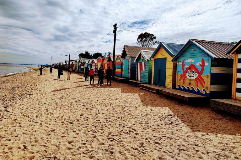 Excursão de meio dia ao Moonlit Sanctuary e Brighton Beach Boxes