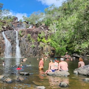 Airlie Beach: Waterfall & Rainforest Bushwalk Eco Adventure