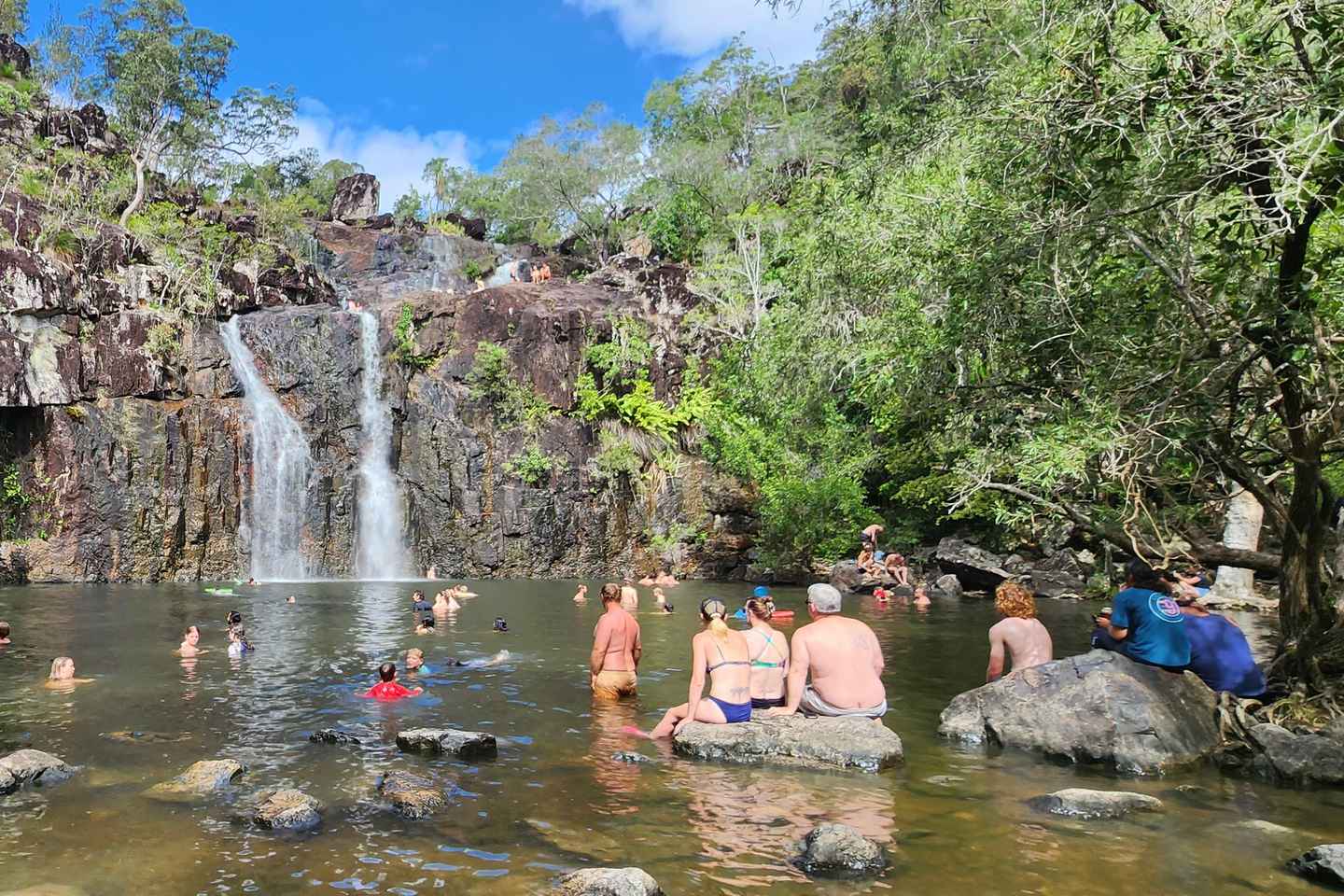 Airlie Beach: Waterfall & Rainforest Bushwalk Eco Adventure