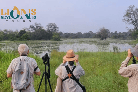 Habarana & Sigiriya: Night Safari to see nocturnal wildlife
