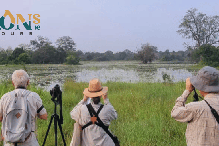 Habarana & Sigiriya: Night Safari to see nocturnal wildlife