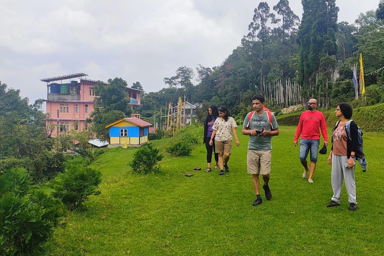 Kolkata: 2-Day Darjeeling Tour with Tea, Train, & Himalayas