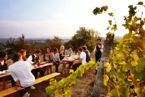 Ultimate Maipú Wine Tour - Boutique Wineries & Gourmet Lunch