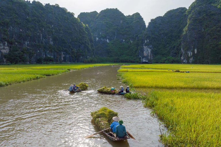 From Hanoi: Ninh Binh- Hoa Lu-Tam Coc- Mua Cave- Highlight