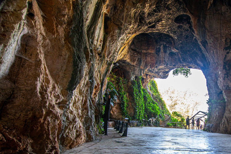 From Valencia: Dénia Castle, Beach & Skulls Cave Day Trip Day trip with Pickup at Torres de Serranos