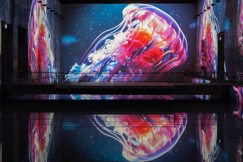 Bordeaux: Bassins des Lumières Bilet Ocean