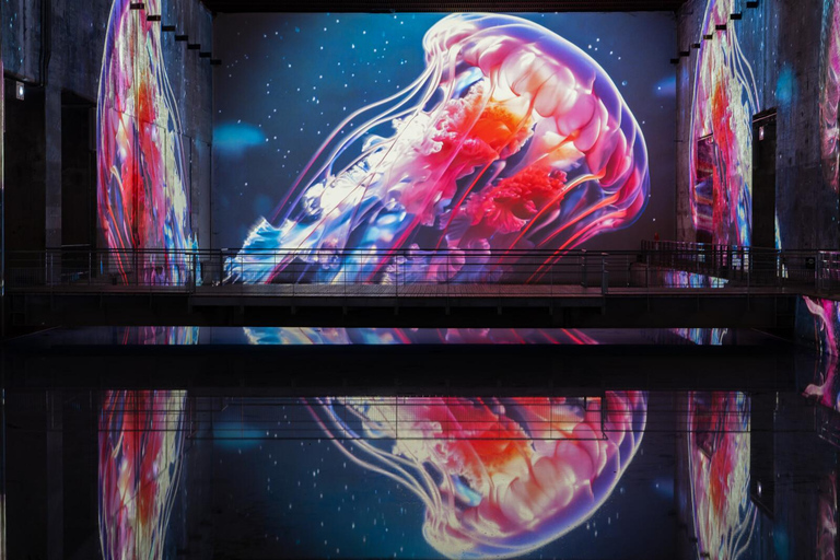 Bordeaux: Bassins des Lumières Bilet Ocean