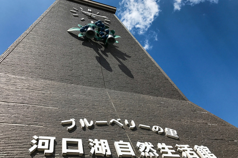 Ab Tokio: Ganztägige Sightseeing-Tour zum Berg FujiGruppentour