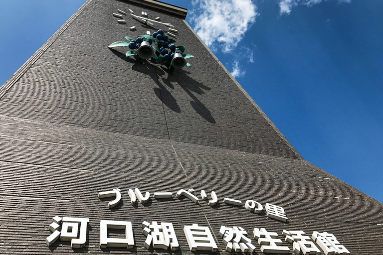 Depuis Tokyo : excursion d'une journée au mont FujiVisite en groupe