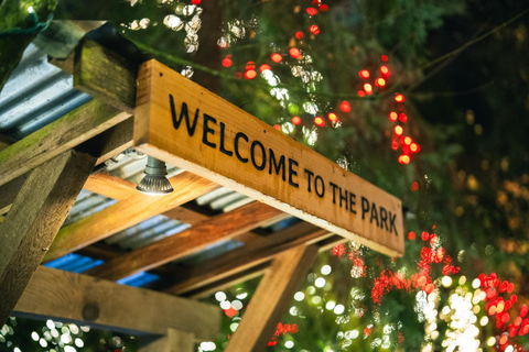 Capilano Suspension Bridge Canyon Lights Holiday Tour