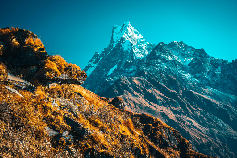 7 jours Mardi Himal Trek au départ de KatmandouMardi Himal Trek depuis Katmandou en 7 jours