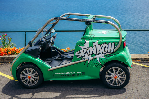 克里斯蒂亚诺·罗纳尔多导游游，含CR7博物馆门票克里斯蒂亚诺·罗纳尔多导览游，含CR7博物馆门票