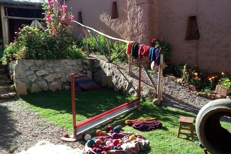 CUSCO: natural dyeing workshop ful day - chinchero.