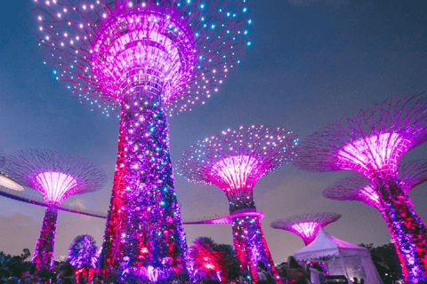 Luxury Night Cruise Sling,Dinner,Satay,Spectra & Rhapsody SW Starry Luxury Night Cruise Sling&Satay w 2 light shows
