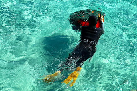 Jeju East: Cherry Blossom Tour & Women Divers Show