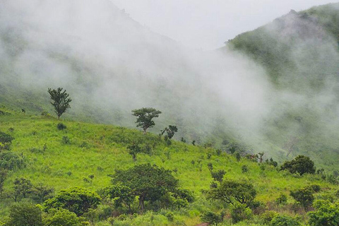 Simien Mountains: Gelada Baboon Kingdom & Grand Escarpment