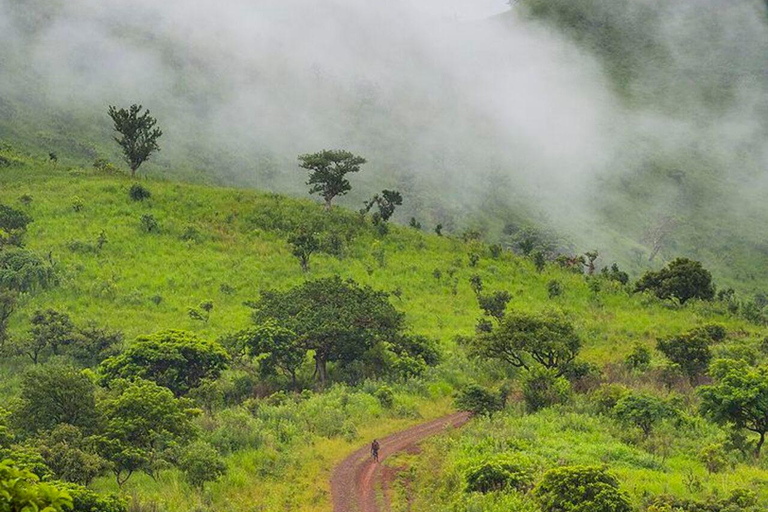 Simien Mountains: Gelada Baboon Kingdom & Grand Escarpment