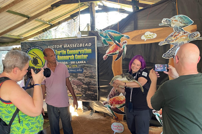 Galle Fort, Sea Turtles & Jungle Beach Private Day Tour