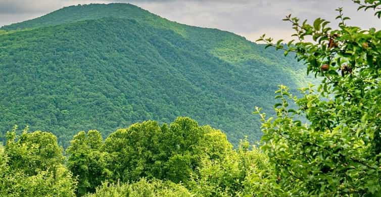 Baku: Guba-Shahdag Resort-Candy Mountain and Laza Waterfall photo 9