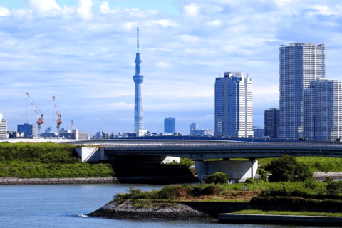 2 Días Tokio, Monte Fuji Excursión Privada Guiada